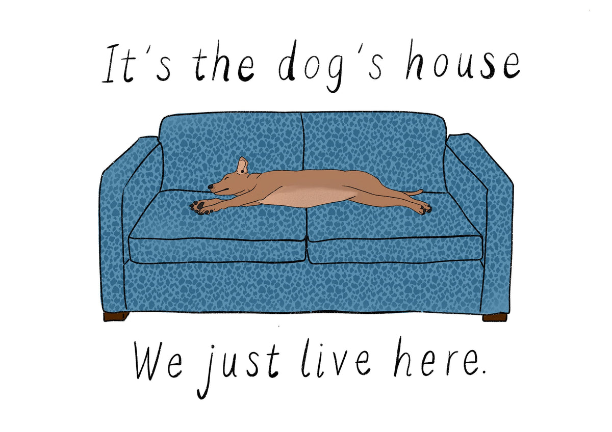 Personalised Dog or Cat on the Sofa Illustration, custom any breed