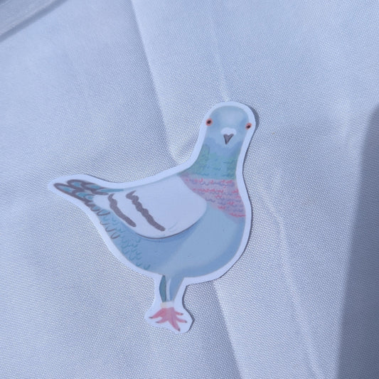 Pigeon sticker
